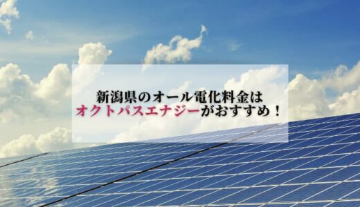 新潟県のオール電化料金にオクトパスエナジーをおすすめします！