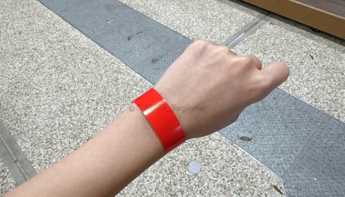 カレーは飲み物の陣in新潟県弥彦村：お米食べ放題リストバンド